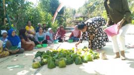 TRADISI SRIATAN MASIH DI LESTARIKAN DI KALURAHAN BOTODAYAAN